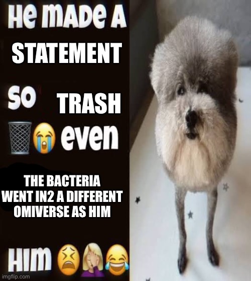 He made a statement so trash | STATEMENT; TRASH; THE BACTERIA WENT IN2 A DIFFERENT OMIVERSE AS HIM | image tagged in he made a statement so trash | made w/ Imgflip meme maker