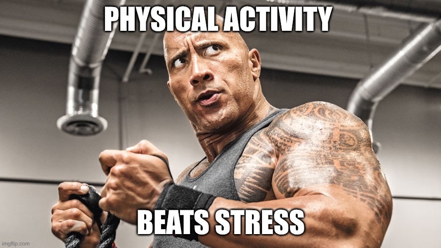 Weird Flex but Okay | PHYSICAL ACTIVITY; BEATS STRESS | image tagged in weird flex but okay | made w/ Imgflip meme maker