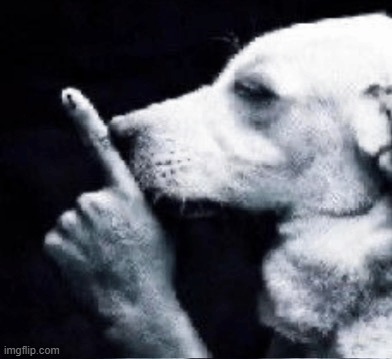 dog shushing | image tagged in dog shushing | made w/ Imgflip meme maker