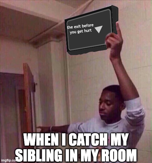 Go back to X stream. | the exit before you get hurt; WHEN I CATCH MY SIBLING IN MY ROOM | image tagged in go back to x stream | made w/ Imgflip meme maker