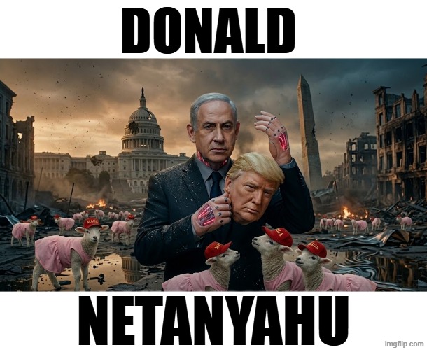 DONALD NETANYAHU | DONALD; NETANYAHU | image tagged in trump,make america great again,benjamin netanyahu,isreal,iran,jeffrey epstein | made w/ Imgflip meme maker