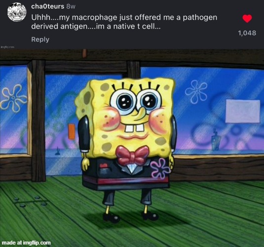 image tagged in suit spongebob | made w/ Imgflip meme maker