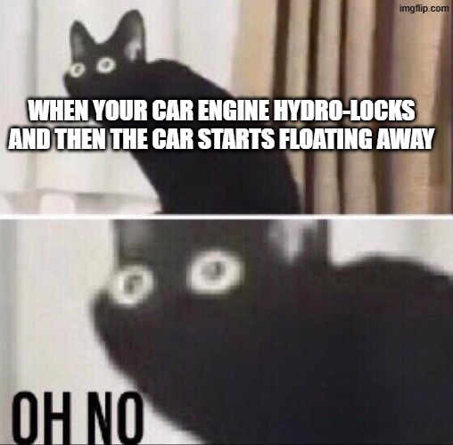 Oh no cat | WHEN YOUR CAR ENGINE HYDRO-LOCKS AND THEN THE CAR STARTS FLOATING AWAY | image tagged in oh no cat | made w/ Imgflip meme maker