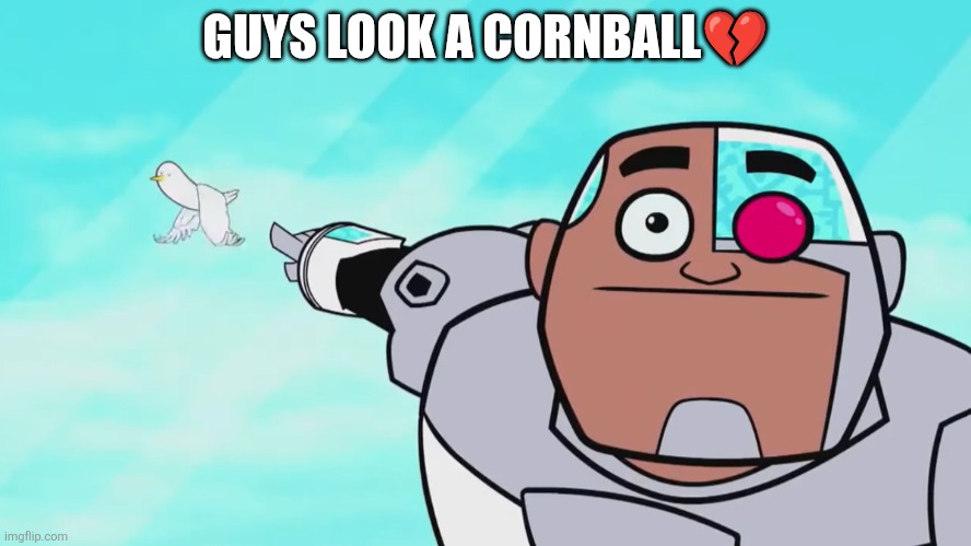 Guys look, a birdie | GUYS LOOK A CORNBALL💔 | image tagged in guys look a birdie,cornball | made w/ Imgflip meme maker