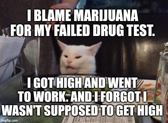 Smudge that darn cat | I BLAME MARIJUANA FOR MY FAILED DRUG TEST. I GOT HIGH AND WENT TO WORK. AND I FORGOT I WASN'T SUPPOSED TO GET HIGH | image tagged in smudge that darn cat | made w/ Imgflip meme maker