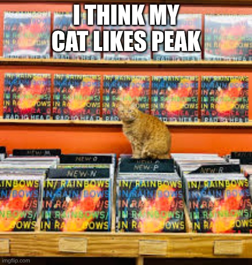 I THINK MY CAT LIKES PEAK | made w/ Imgflip meme maker