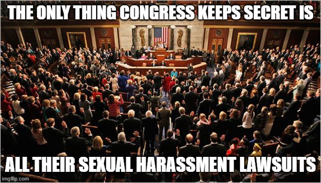 Congress | THE ONLY THING CONGRESS KEEPS SECRET IS ALL THEIR SEXUAL HARASSMENT LAWSUITS | image tagged in congress | made w/ Imgflip meme maker