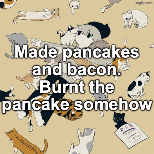 Avogado6 | Made pancakes and bacon. Burnt the pancake somehow | image tagged in avogado6 | made w/ Imgflip meme maker