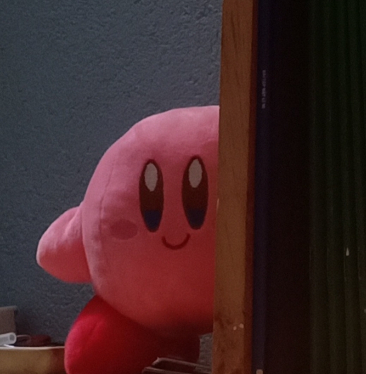 Kirby staring into your soul Blank Meme Template