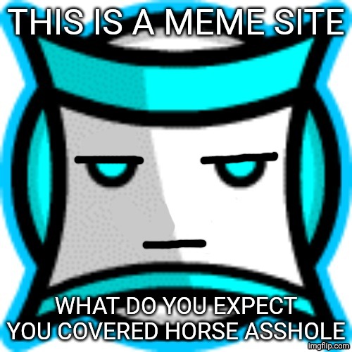 Mouthless square | THIS IS A MEME SITE WHAT DO YOU EXPECT YOU COVERED HORSE ASSHOLE | image tagged in mouthless square | made w/ Imgflip meme maker