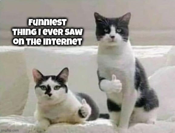 Thumbs up Cats | Funniest thing I ever saw on the Internet | image tagged in thumbs up cats | made w/ Imgflip meme maker