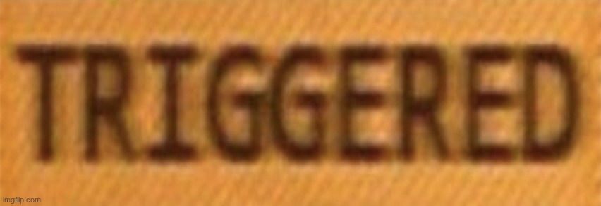 trigerd | image tagged in trigerd | made w/ Imgflip meme maker