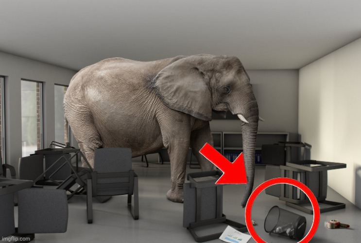 Elephant in the room | image tagged in elephant in the room | made w/ Imgflip meme maker