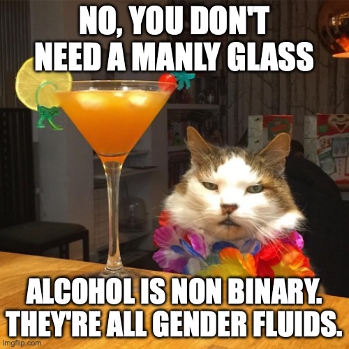 Stemware isn't feminine | NO, YOU DON'T NEED A MANLY GLASS; ALCOHOL IS NON BINARY. THEY'RE ALL GENDER FLUIDS. | image tagged in cat cocktail,toxic masculinity,fragile masculinity,drinking,drunk | made w/ Imgflip meme maker