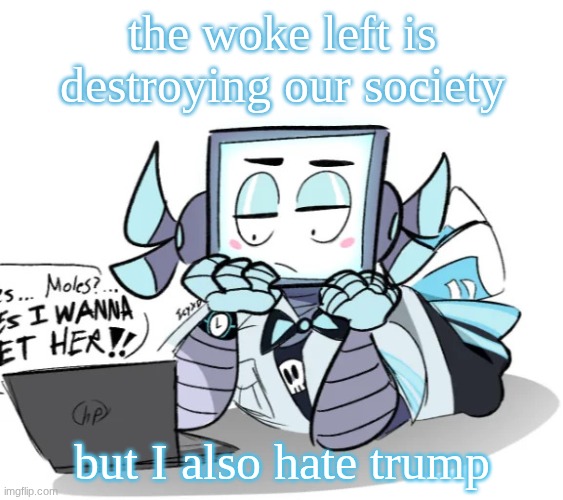 icy on his chromebook | the woke left is destroying our society; but I also hate trump | image tagged in icy on his chromebook | made w/ Imgflip meme maker