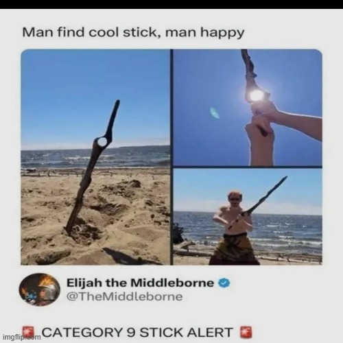 CATEGORY NINE STICK ALERT! | image tagged in stick | made w/ Imgflip meme maker