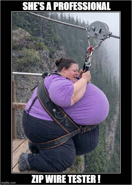 What Is She Doing ? | SHE'S A PROFESSIONAL; ZIP WIRE TESTER ! | image tagged in obese,professional,zip wire,tester | made w/ Imgflip meme maker