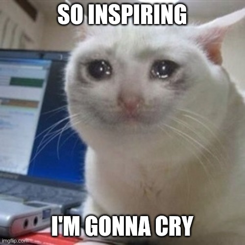 Crying cat | SO INSPIRING I'M GONNA CRY | image tagged in crying cat | made w/ Imgflip meme maker
