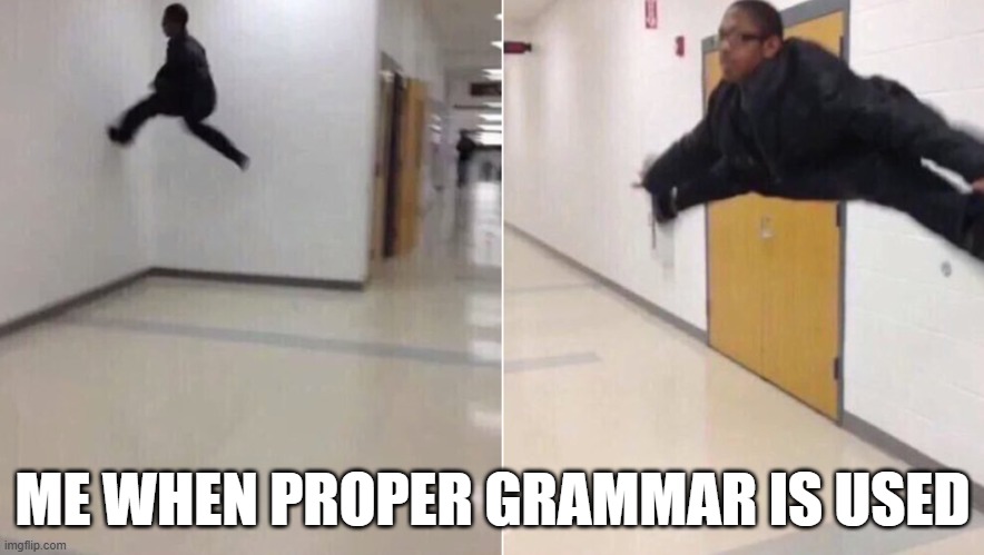 grammer | ME WHEN PROPER GRAMMAR IS USED | image tagged in the-floor-is | made w/ Imgflip meme maker