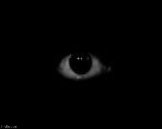 Scary Eye in dark | image tagged in scary eye in dark | made w/ Imgflip meme maker
