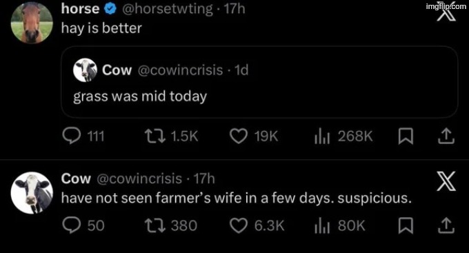 Barn | image tagged in msmg | made w/ Imgflip meme maker