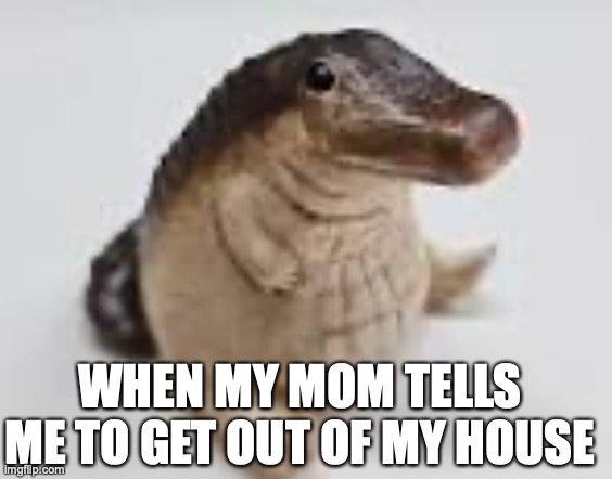 67 | WHEN MY MOM TELLS ME TO GET OUT OF MY HOUSE | image tagged in 67 kid | made w/ Imgflip meme maker
