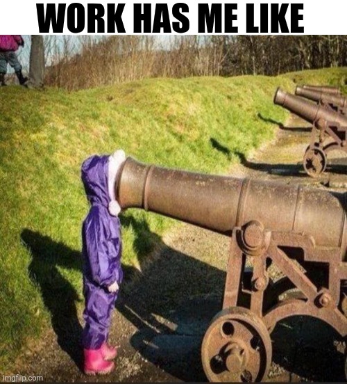 Work Has Me Like | WORK HAS ME LIKE | image tagged in chrisjoines1 | made w/ Imgflip meme maker