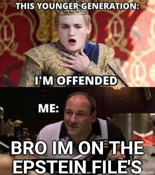 brotha is on the epstein files | BRO IM ON THE EPSTEIN FILE'S | image tagged in epstein,files | made w/ Imgflip meme maker