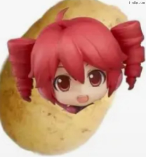 Poteto | image tagged in poteto | made w/ Imgflip meme maker