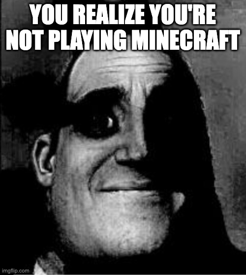 YOU REALIZE YOU'RE NOT PLAYING MINECRAFT | made w/ Imgflip meme maker