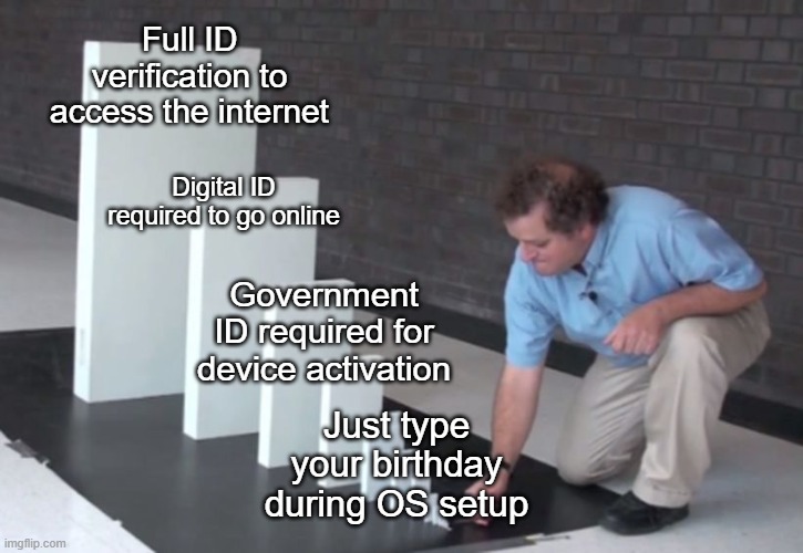 California OS id verification | Full ID verification to access the internet; Digital ID required to go online; Government ID required for device activation; Just type your birthday during OS setup | image tagged in domino effect | made w/ Imgflip meme maker