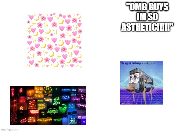 Blank White Template | "OMG GUYS IM SO ASTHETIC!!!!!" | image tagged in blank white template | made w/ Imgflip meme maker