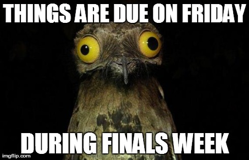 Weird Stuff I Do Potoo Meme | THINGS ARE DUE ON FRIDAY DURING FINALS WEEK | image tagged in memes,weird stuff i do potoo | made w/ Imgflip meme maker