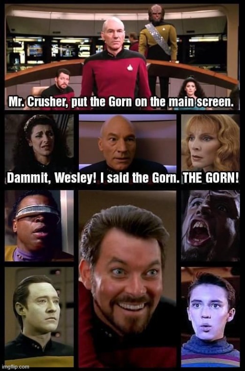 Damnit Wesley! | image tagged in star trek,wesley crusher | made w/ Imgflip meme maker