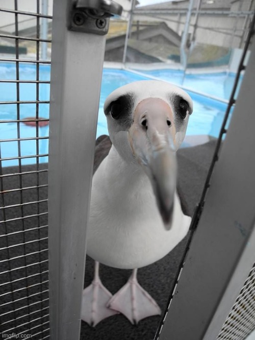 Its just like me fr | made w/ Imgflip meme maker