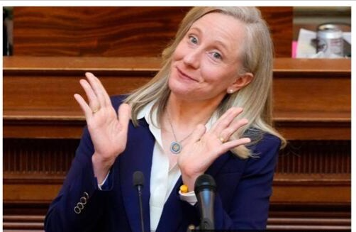 High Quality Abigail Spanberger Blank Meme Template