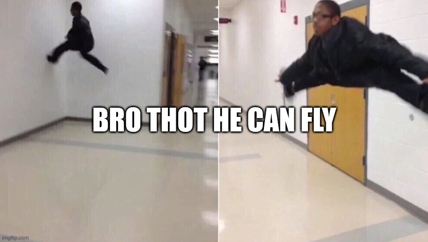 The-floor-is | BRO THOT HE CAN FLY | image tagged in the-floor-is | made w/ Imgflip meme maker