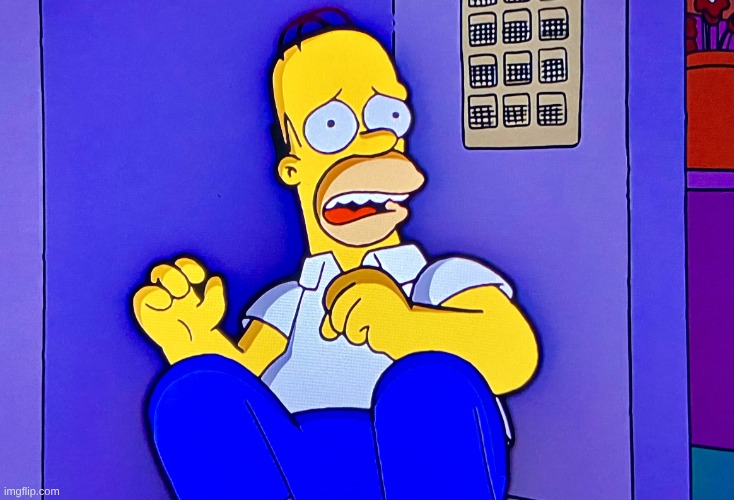 Homer scared | image tagged in homer scared | made w/ Imgflip meme maker