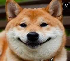 Fart Blank Meme Template