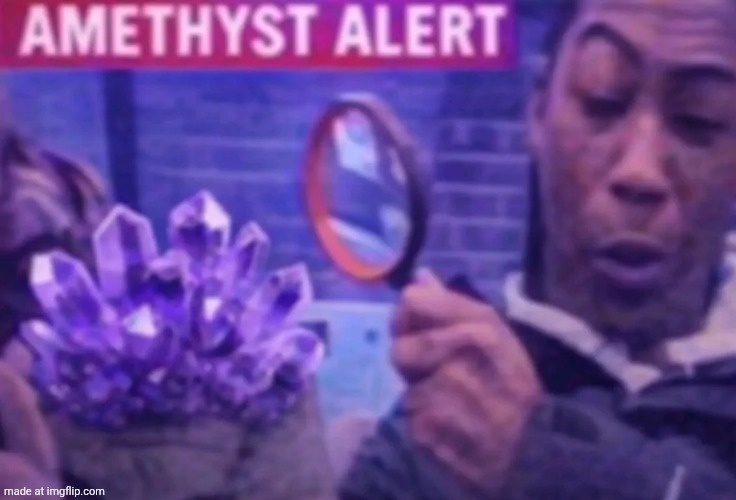 Amethyst alert | image tagged in amethyst alert | made w/ Imgflip meme maker