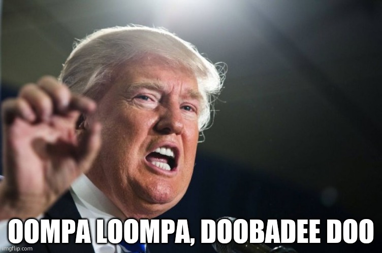 he does actually look like an oompa loompa lol | OOMPA LOOMPA, DOOBADEE DOO | image tagged in donald trump | made w/ Imgflip meme maker