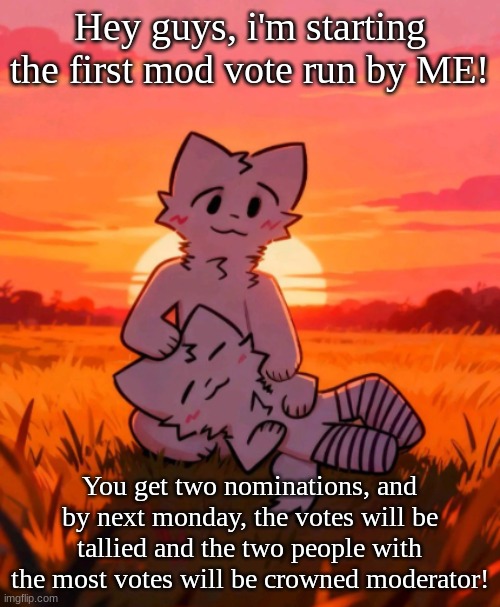 Anyone can vote. | Hey guys, i'm starting the first mod vote run by ME! You get two nominations, and by next monday, the votes will be tallied and the two people with the most votes will be crowned moderator! | image tagged in that0neguy announcement temp | made w/ Imgflip meme maker