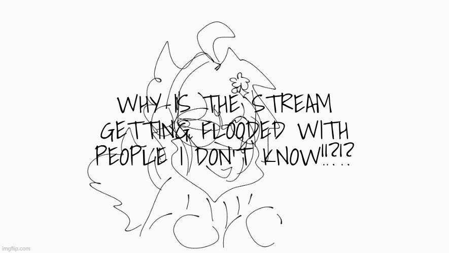 chat I'm scared | WHY IS THE STREAM GETTING FLOODED WITH PEOPLE I DON'T KNOW!!?!? | image tagged in cosmo's shitpost temp | made w/ Imgflip meme maker
