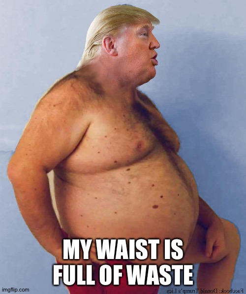 MY WAIST IS FULL OF WASTE | image tagged in trump fat naked | made w/ Imgflip meme maker