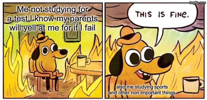 studying be like | Me not studying for a test I know my parents will yell at me for if I fail; also me studying sports and other non important things | image tagged in memes,this is fine | made w/ Imgflip meme maker