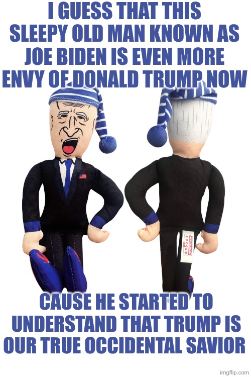 SLEEPY JOE | I GUESS THAT THIS SLEEPY OLD MAN KNOWN AS JOE BIDEN IS EVEN MORE ENVY OF DONALD TRUMP NOW; CAUSE HE STARTED TO UNDERSTAND THAT TRUMP IS OUR TRUE OCCIDENTAL SAVIOR | image tagged in sleepy joe | made w/ Imgflip meme maker