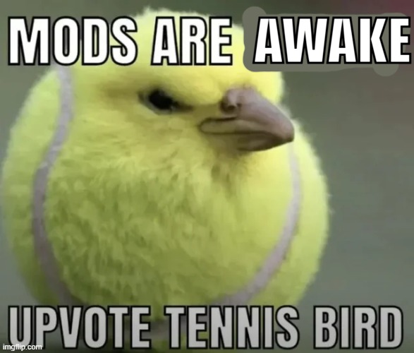 MAUTB | AWAKE | image tagged in mods are asleep | made w/ Imgflip meme maker