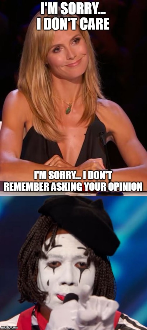 I don't care | I'M SORRY... I DON'T CARE; I'M SORRY... I DON'T REMEMBER ASKING YOUR OPINION | image tagged in i don't care | made w/ Imgflip meme maker