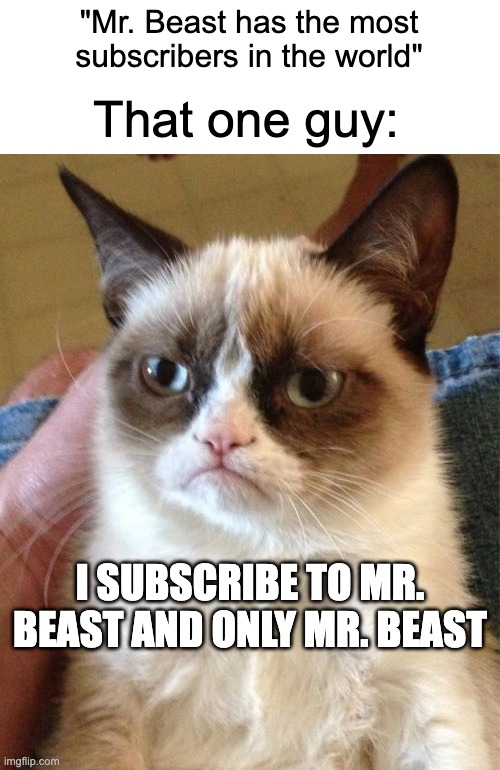 There's more were that came from :) | "Mr. Beast has the most subscribers in the world"; That one guy:; I SUBSCRIBE TO MR. BEAST AND ONLY MR. BEAST | image tagged in memes,grumpy cat,mr beast,mrbeast | made w/ Imgflip meme maker