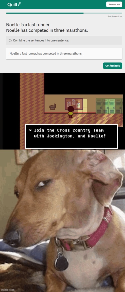 DELTARUNE REFERENCE IN QUILL.ORG!? | image tagged in side eye dog,deltarune | made w/ Imgflip meme maker